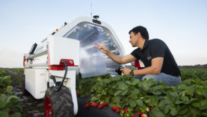 AI in Agriculture feature image