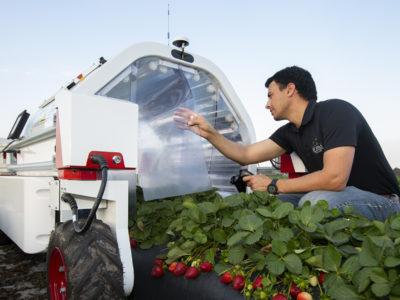 AI in Agriculture feature image