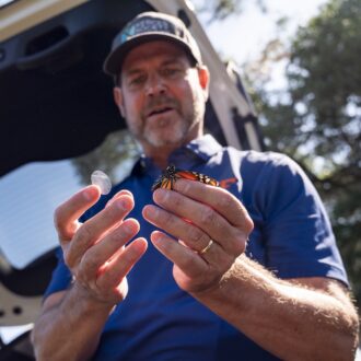 A man in a blue shirt and cap holds a monarch butterfly in one hand and a small, clear adhesive tag in the other, standing near an open vehicle.