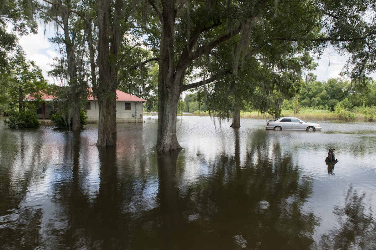 Standing floodwaters in Ascension Parish, Louisiana. Photo by J.T. Blatty/FEMA