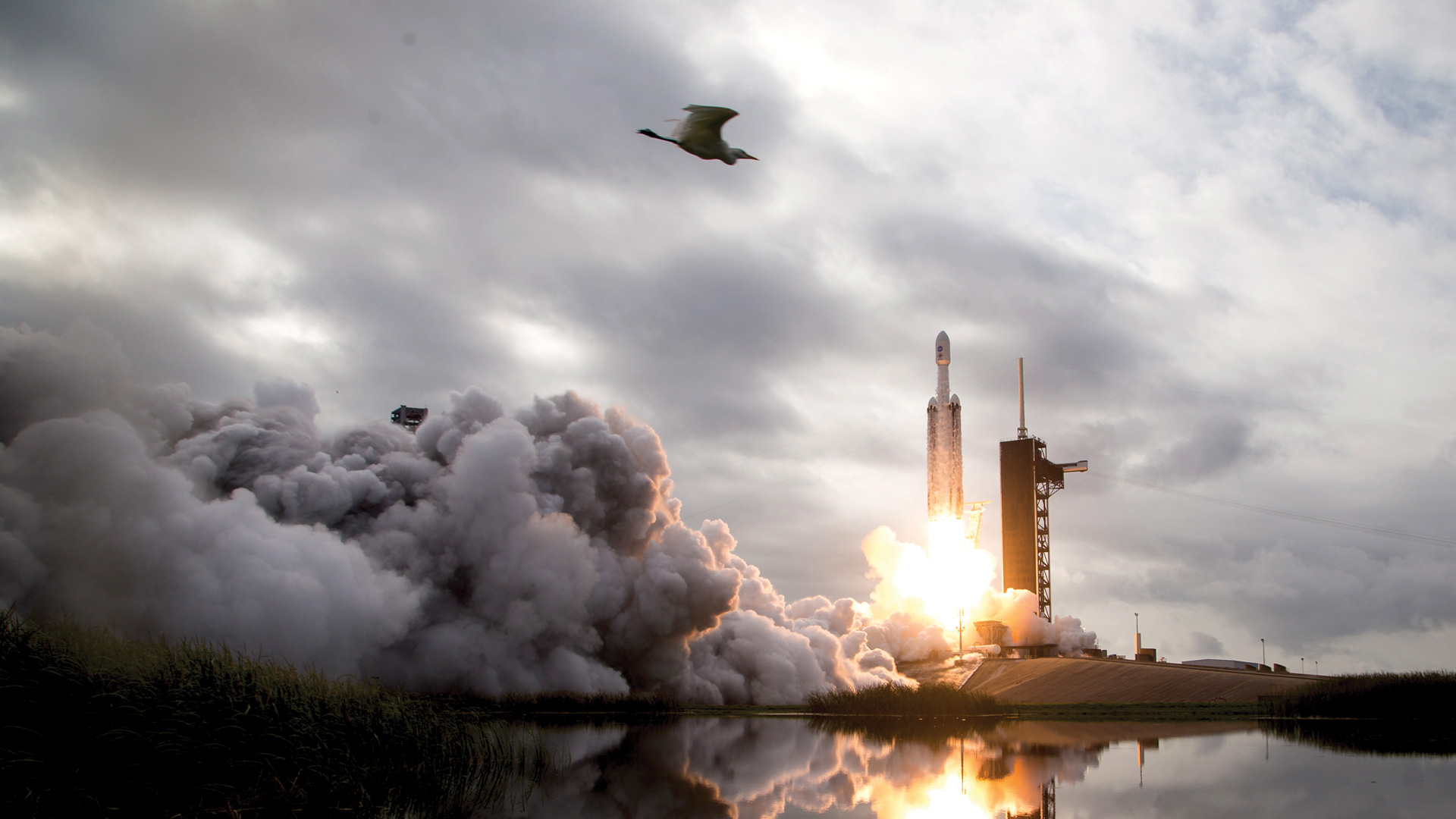 A NASA rocket launches in the distance while a bird swoops across the frame in the foreground.