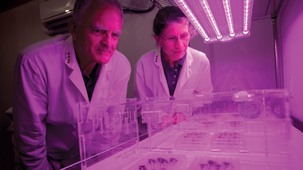 Rob Ferl and Anna Lisa Paul conducting studies on lunar soil.