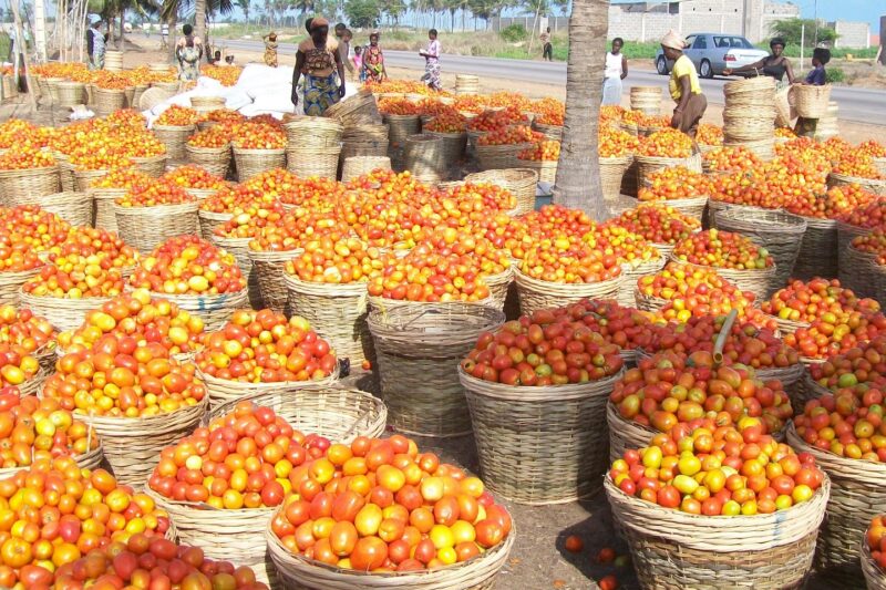 Baskets of tomatoes.