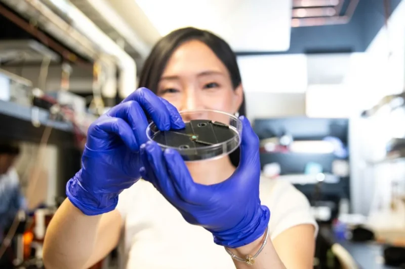 A scientist wearing blue nitrile gloves holds a clear petri dish containing a small, black, circular electronic component in a laboratory setting.