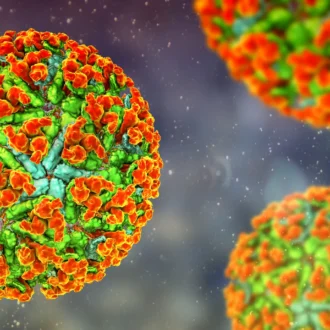 A 3D rendering of spherical viruses with textured, bright orange and green surfaces, floating against a dark, blurry background with small particles.