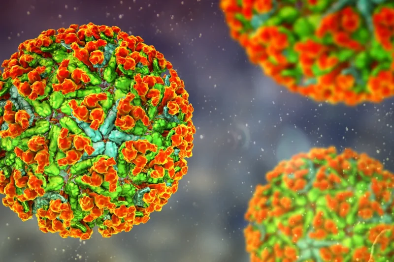 A 3D rendering of spherical viruses with textured, bright orange and green surfaces, floating against a dark, blurry background with small particles.